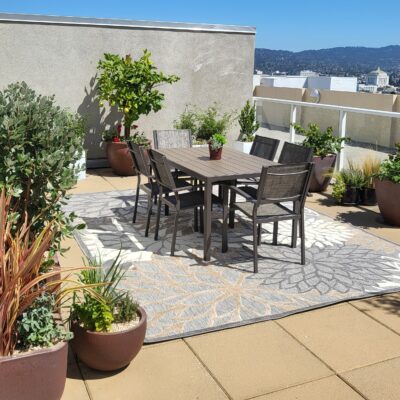 Astro Turf in kids garden no maintenance or water for the lawn