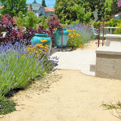 Dry Deer Resistant Garden using all natural materials and ceramic urns