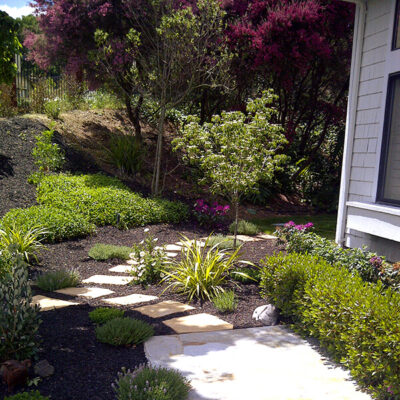 Dry deer resistant garden with black mulch and stepping stones 