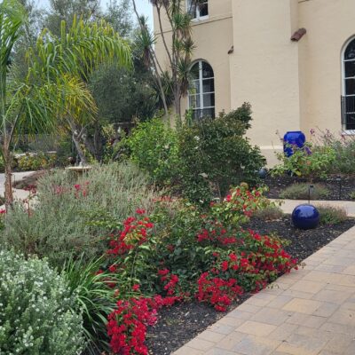 34 Sustainable veg beds mulch flagstone and dg with olive quarter inch fir bark