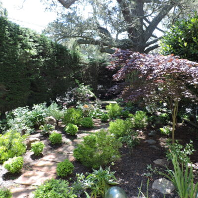 34 Sustainable veg beds mulch flagstone and dg with olive quarter inch fir bark