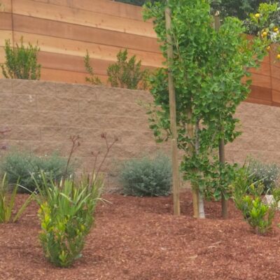 37 Sustainable Dry Stack no mortar no concrete installation for retaining wall